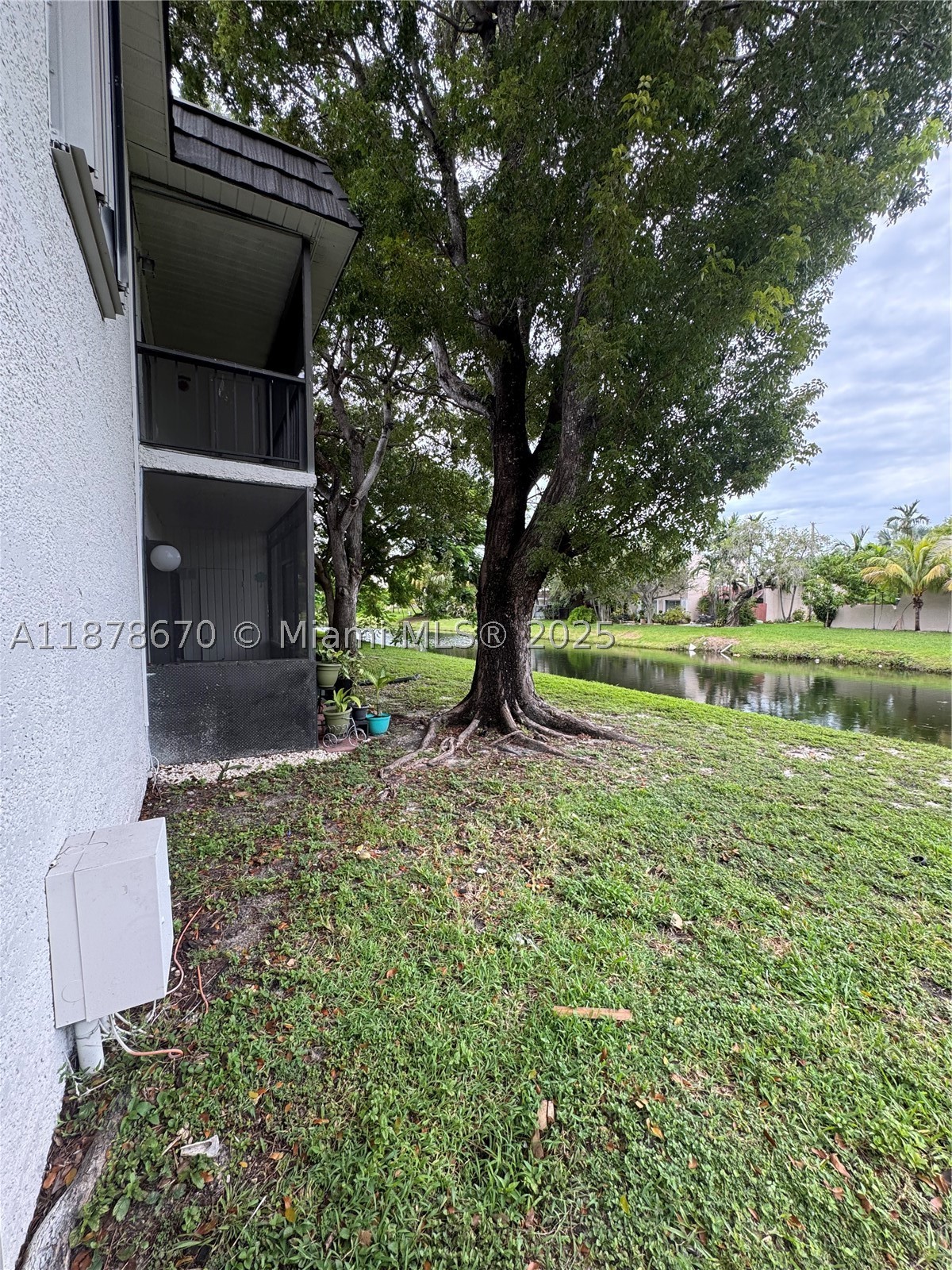 Miami photo 3