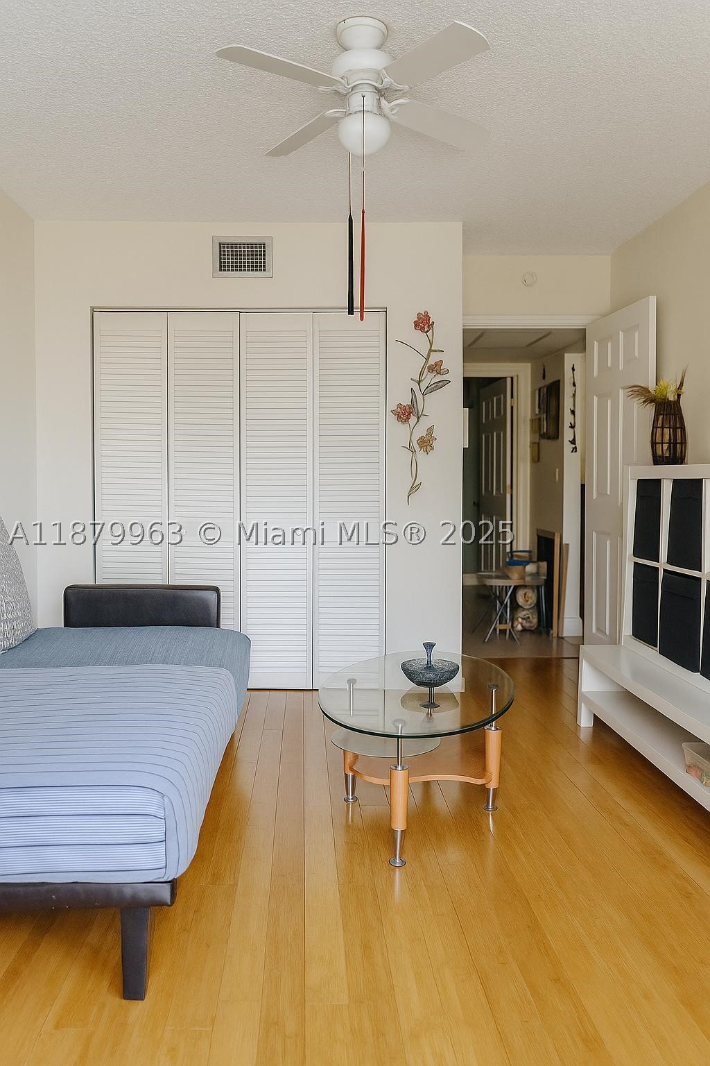 Miami photo 5