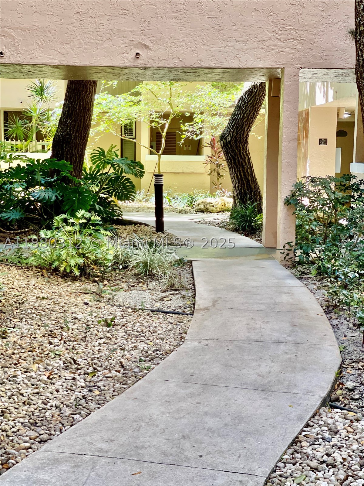 Plantation photo 2