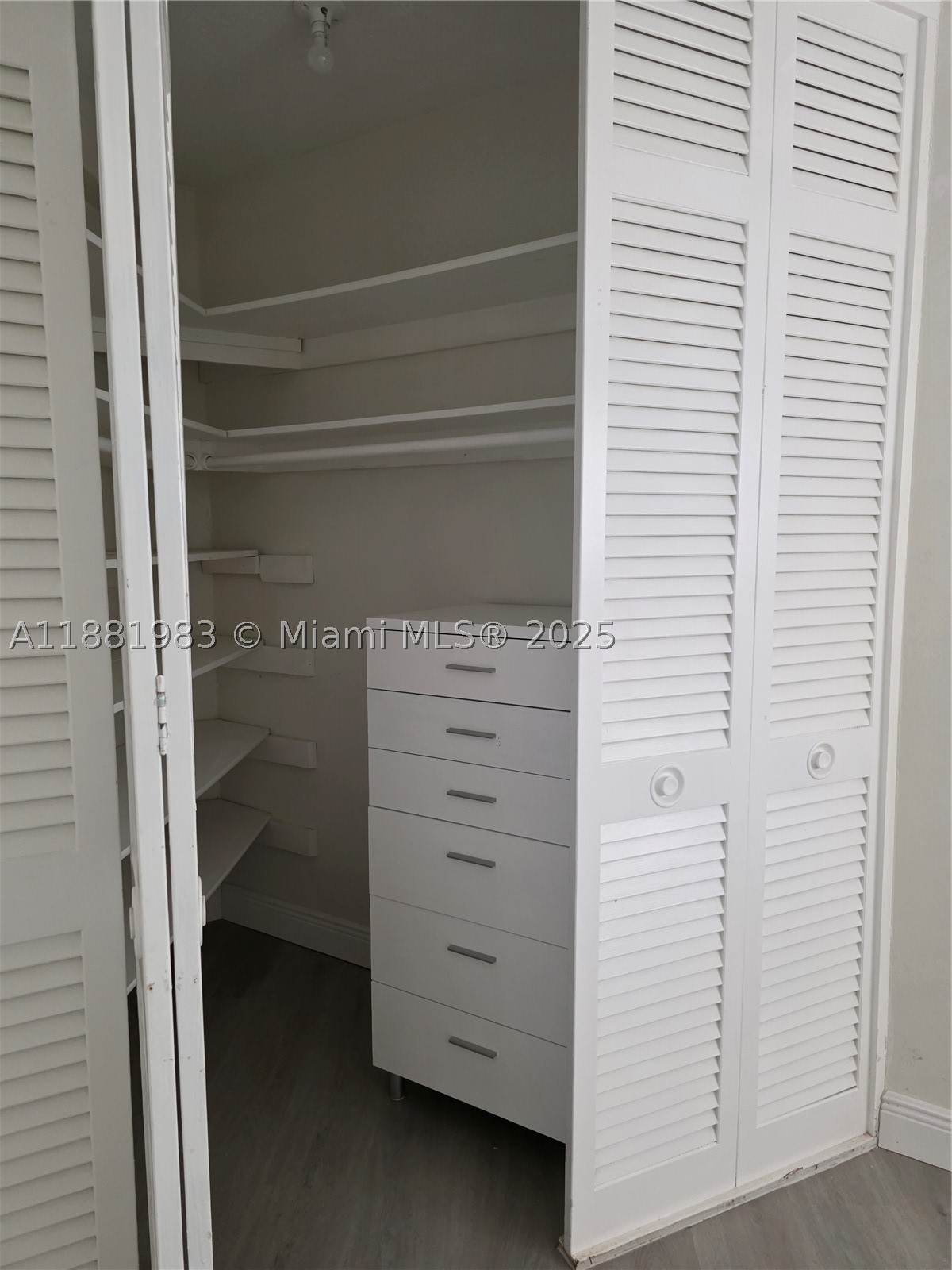 Miami photo 4