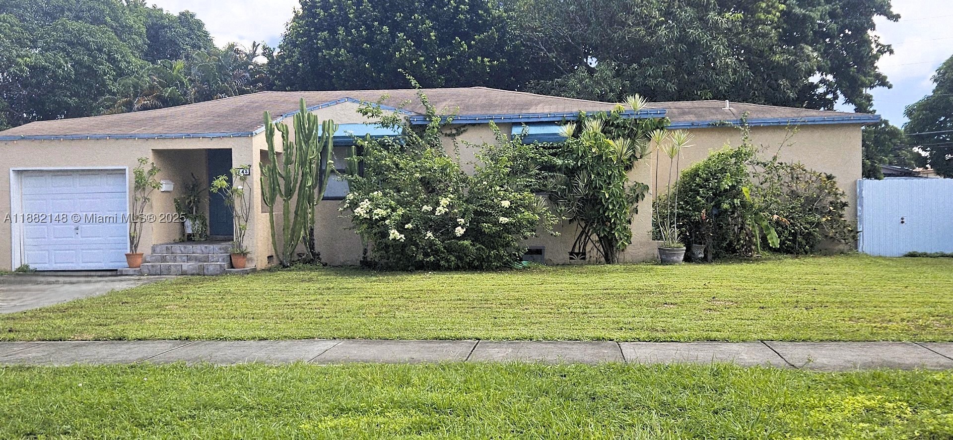 Miami photo 1