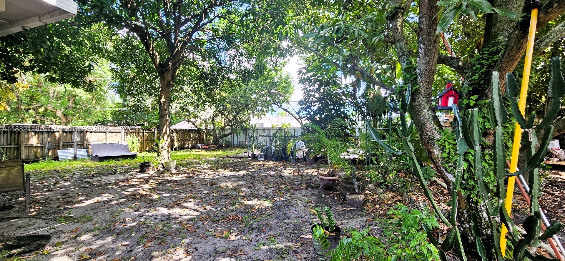 Miami photo 4