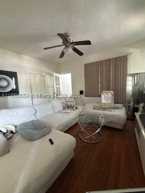 Miami photo 3