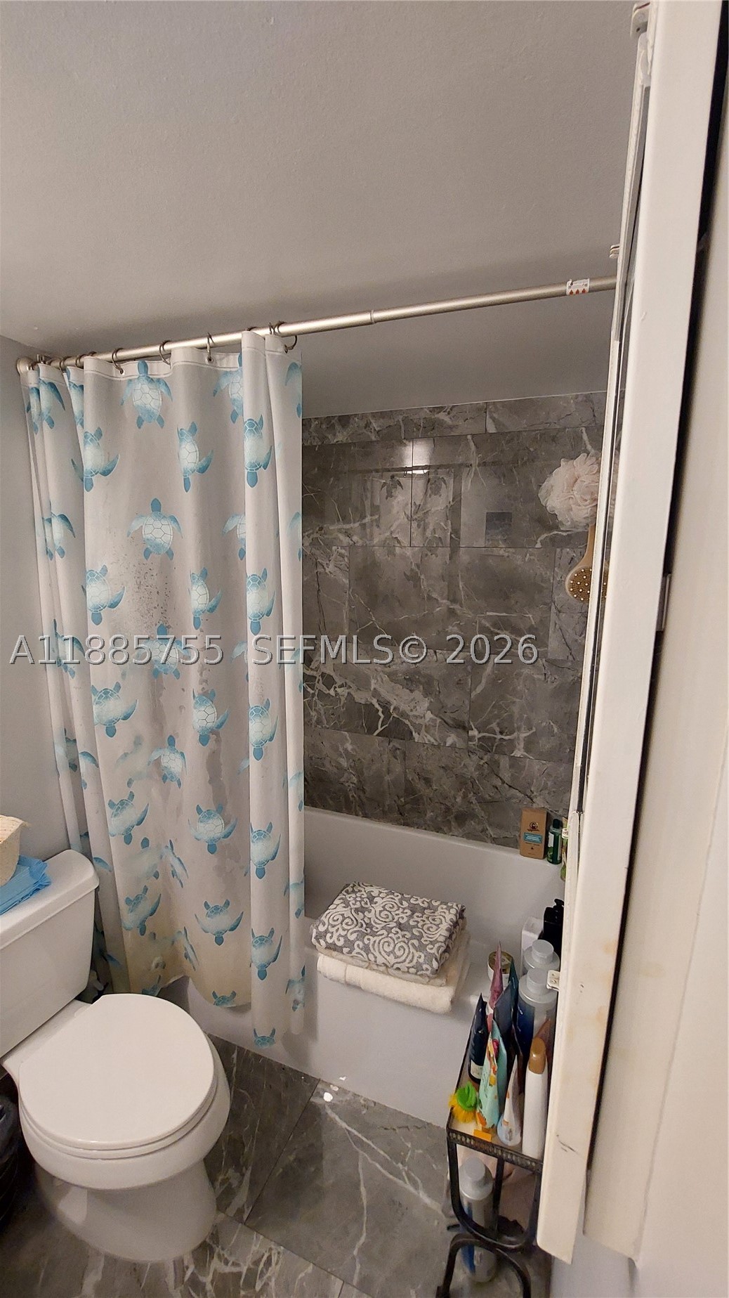 Hallandale Beach photo 4