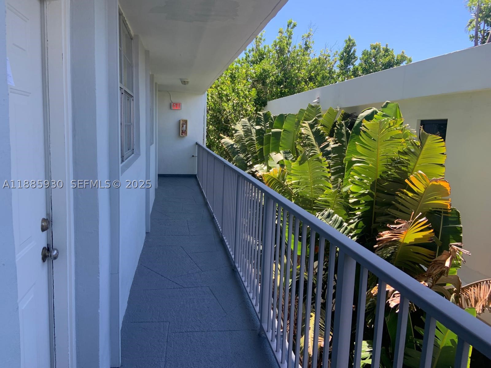 Miami Beach photo 3