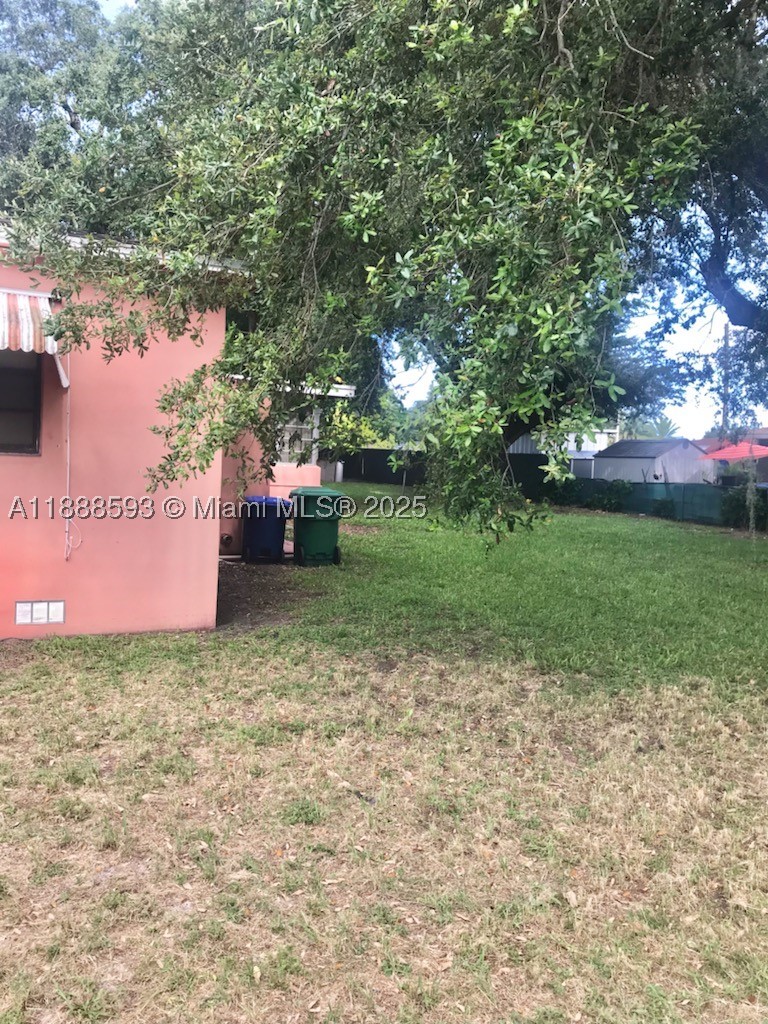 Miami photo 2