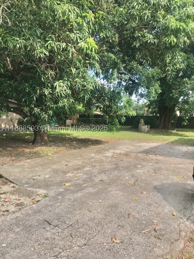 Miami photo 4