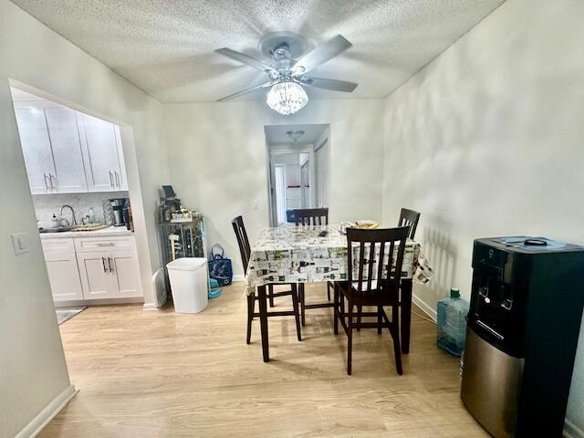 Boca Raton photo 5