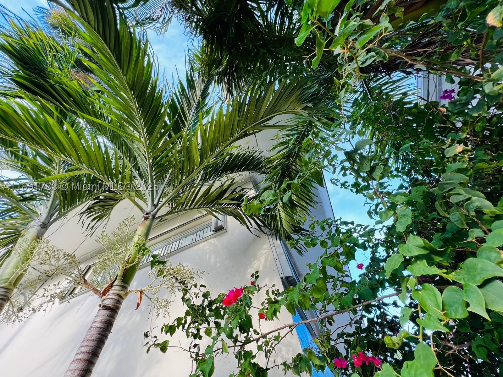 Miami Beach photo 1