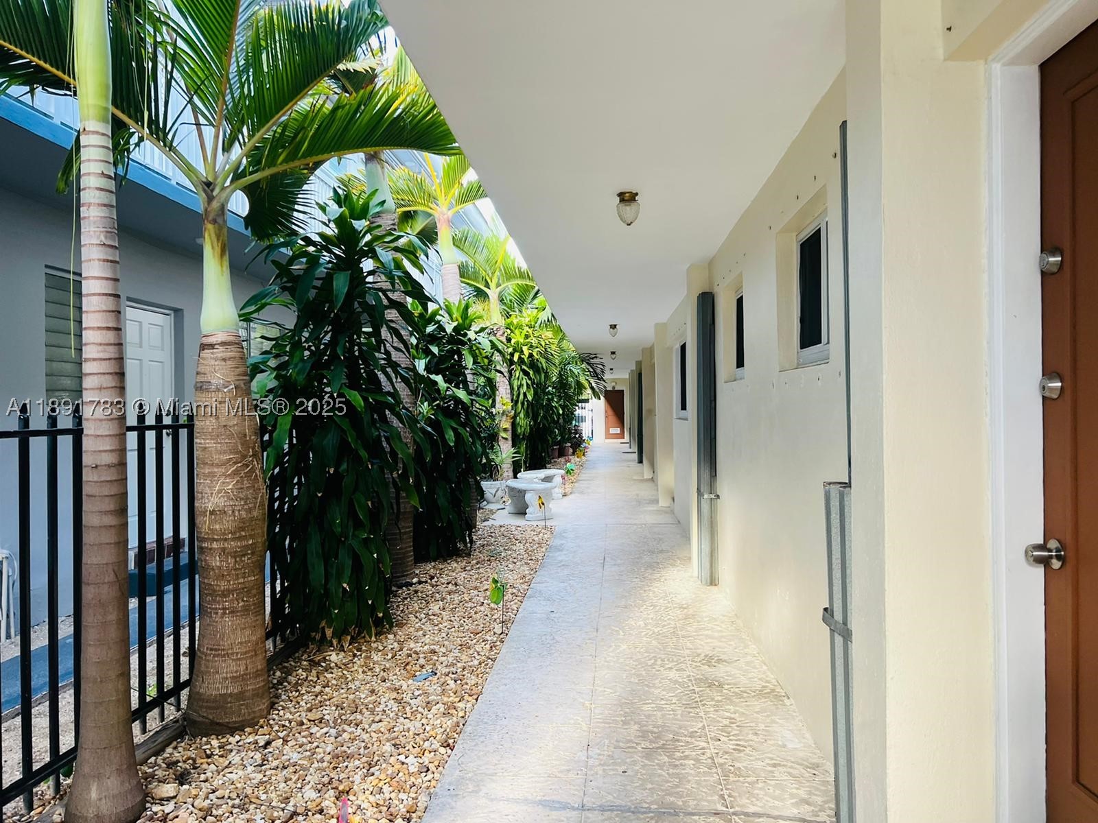Miami Beach photo 3