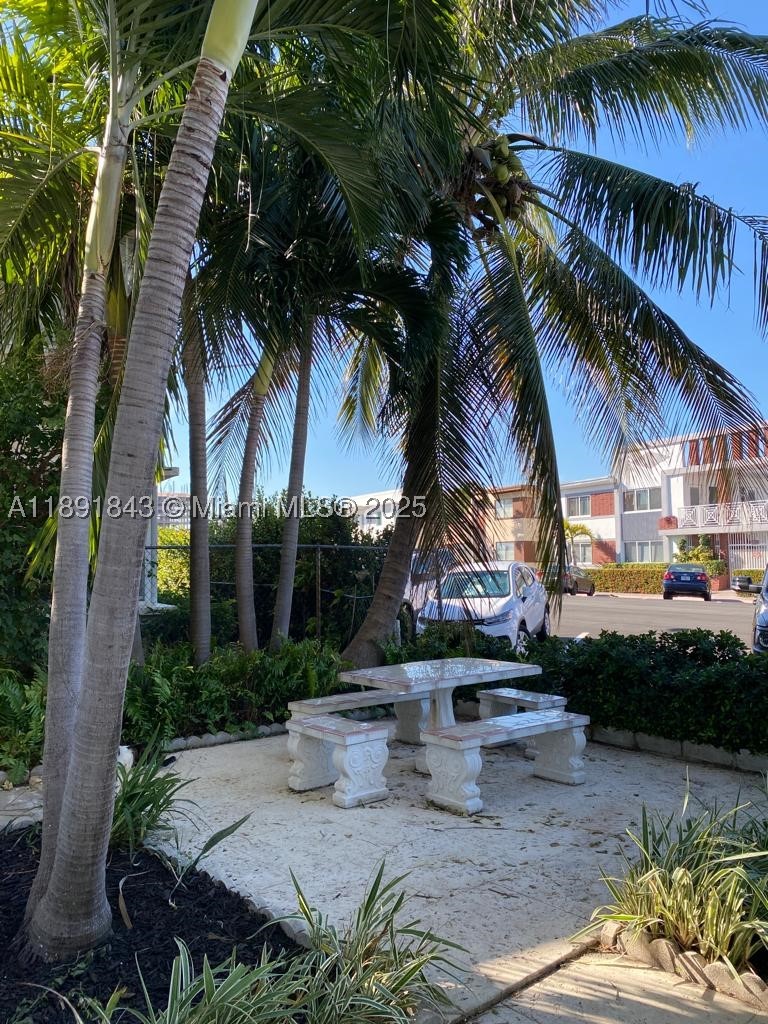 Miami Beach photo 3