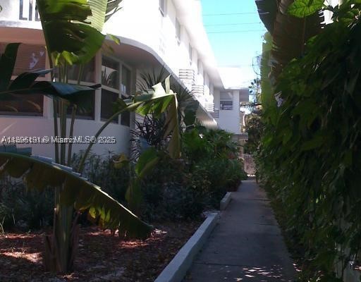 Miami Beach photo 3