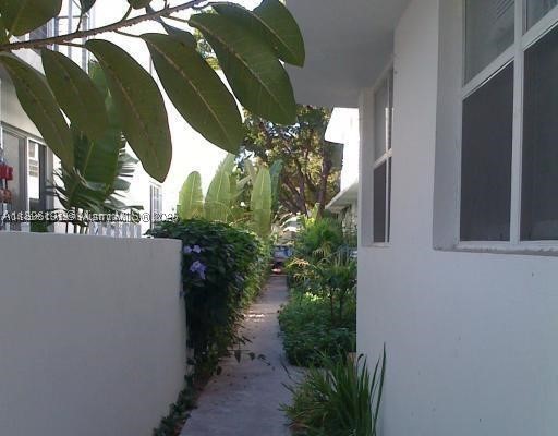 Miami Beach photo 5