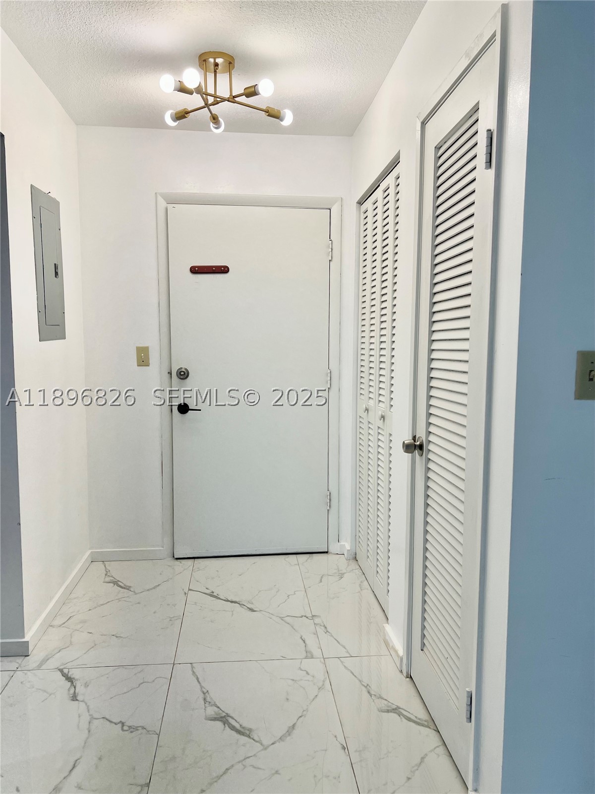 Miami photo 5