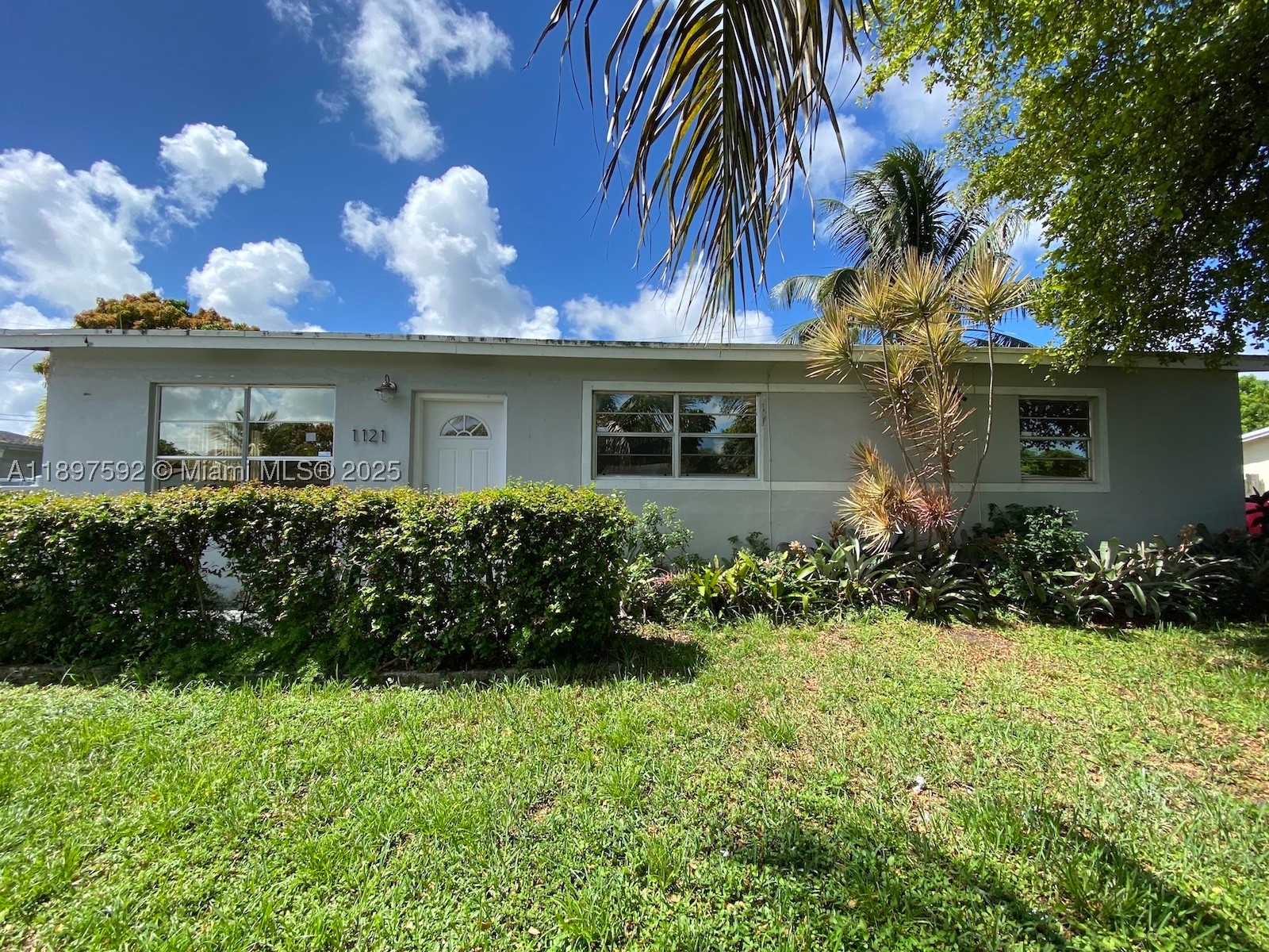 Miami photo 1