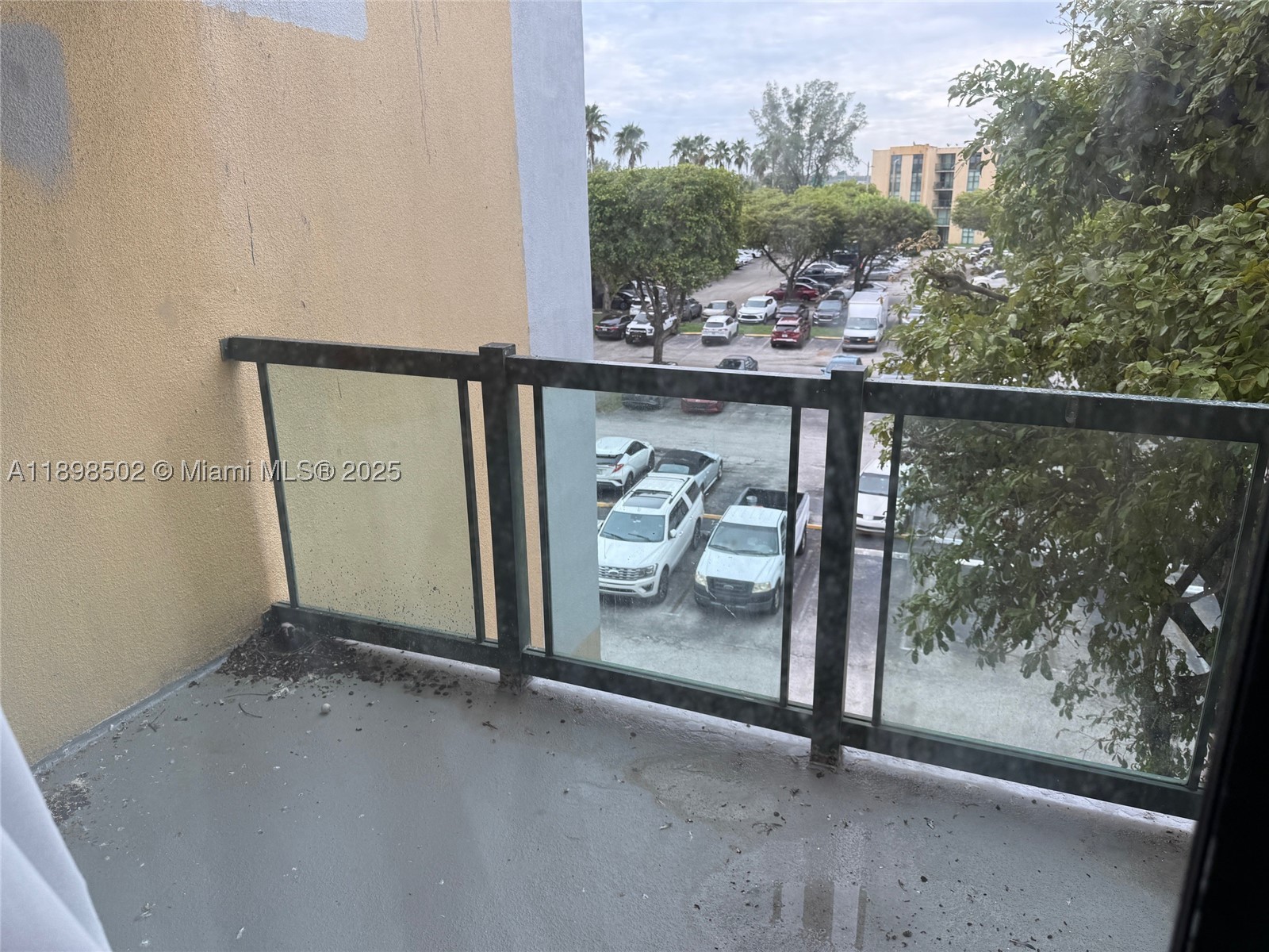 Miami photo 2