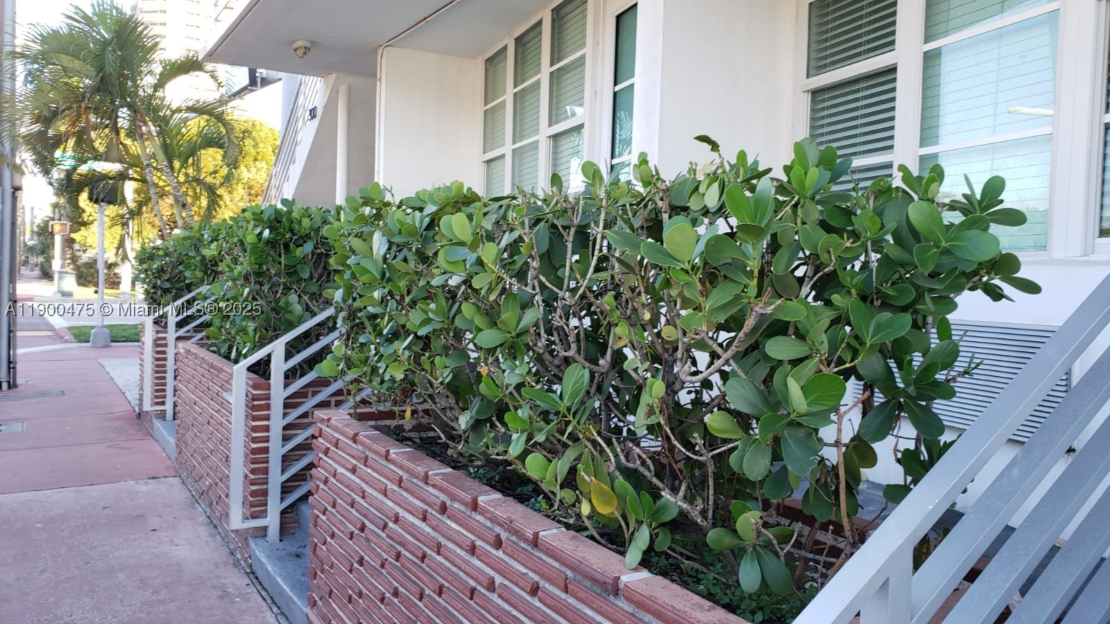 Miami Beach photo 2