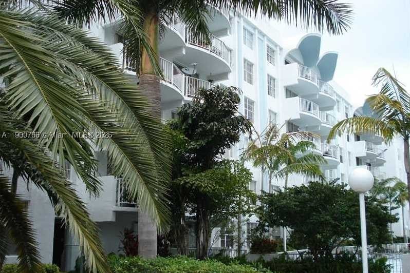 Miami photo 4