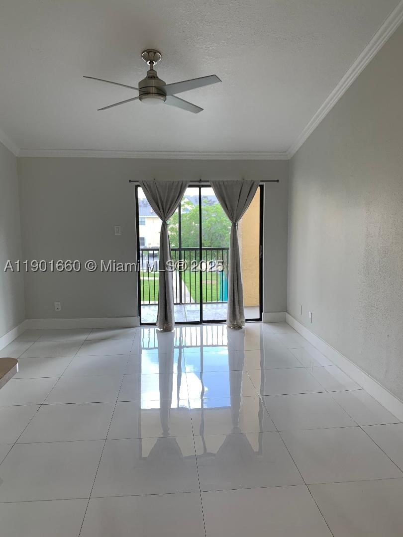 Miami photo 4