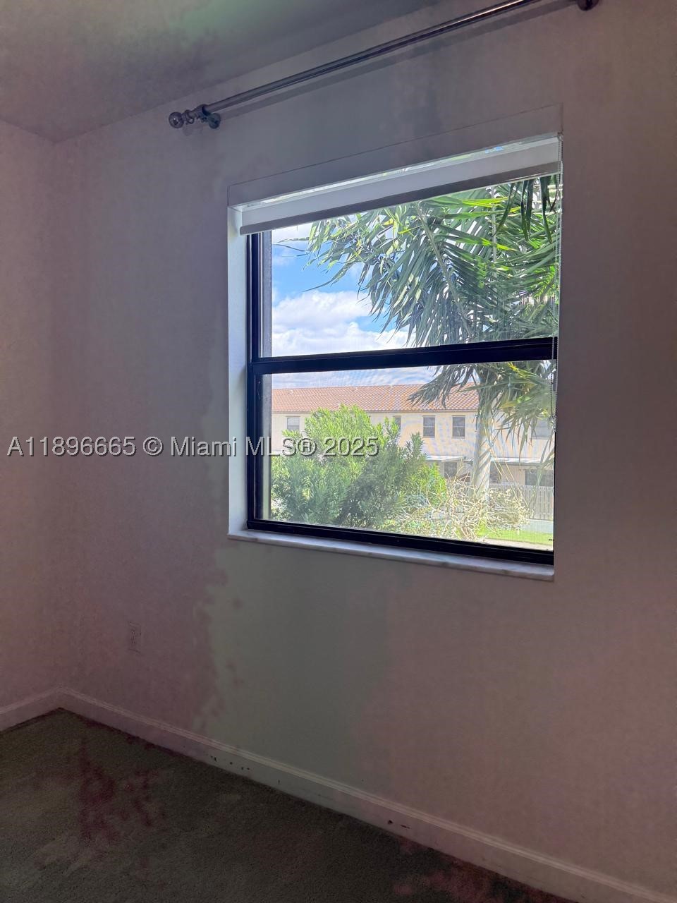 Miami photo 3