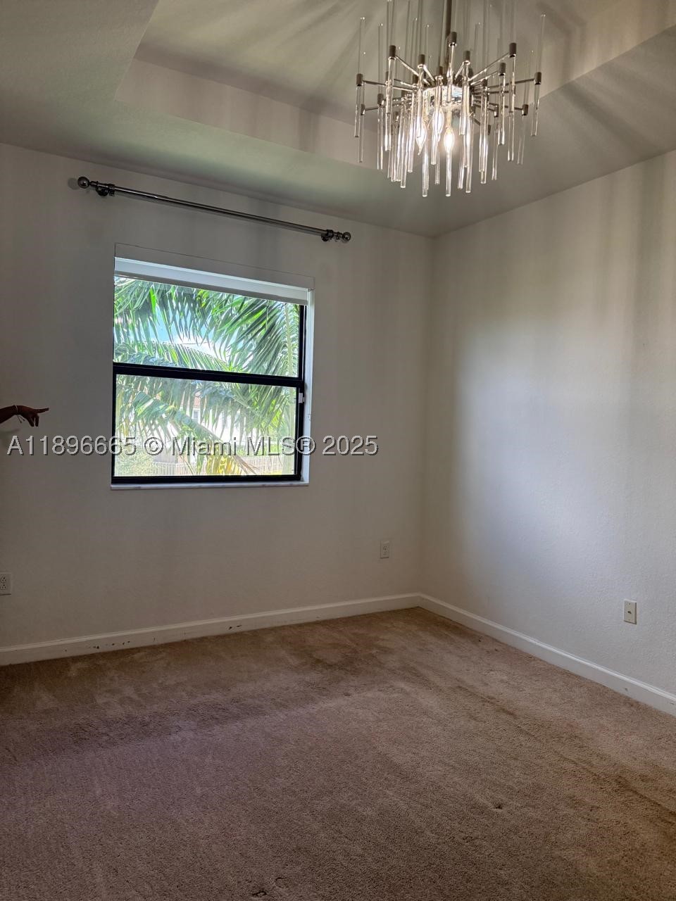 Miami photo 5