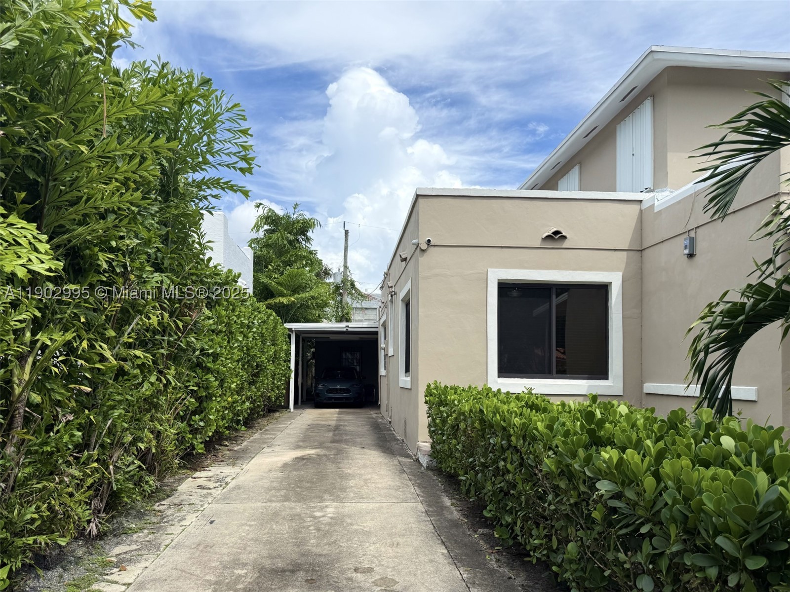 Miami photo 4