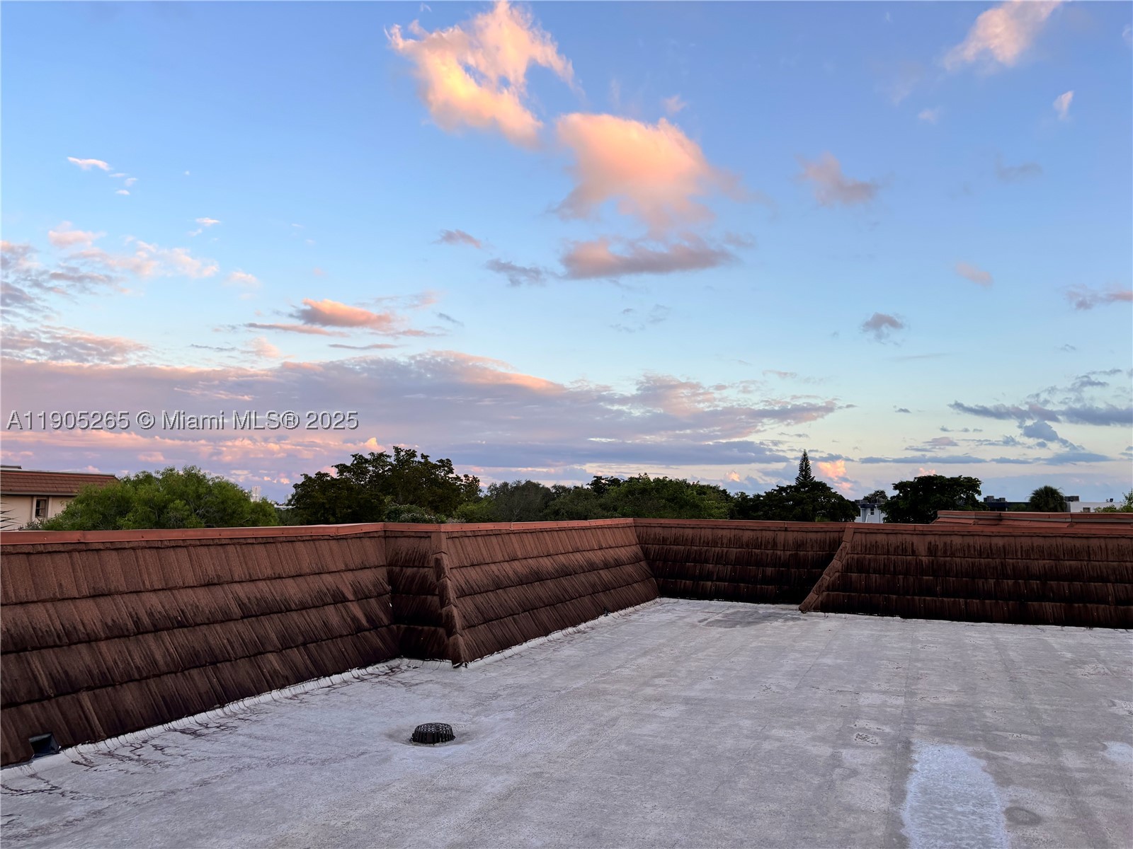 Miami photo 4