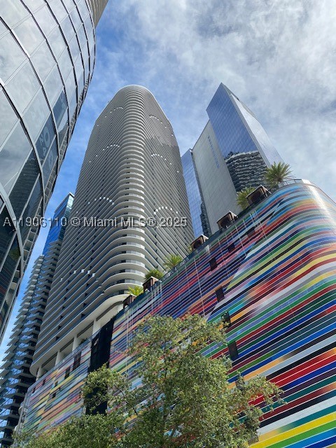 Miami photo 4