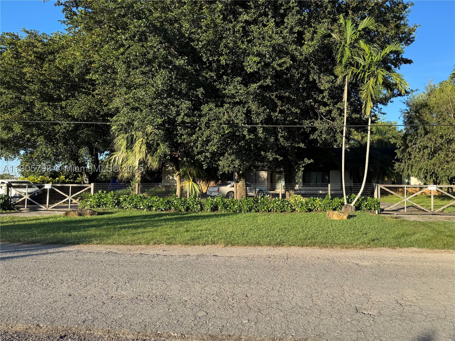Miami photo 1