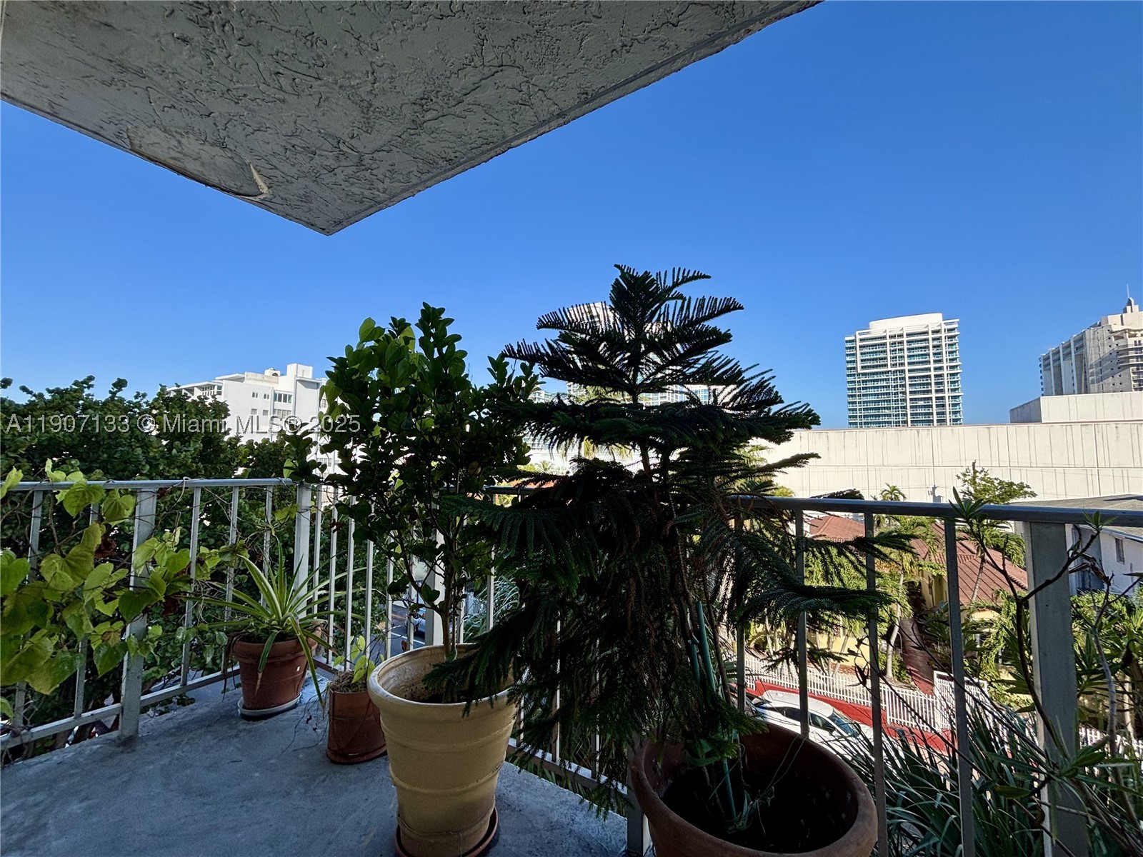 Miami Beach photo 2