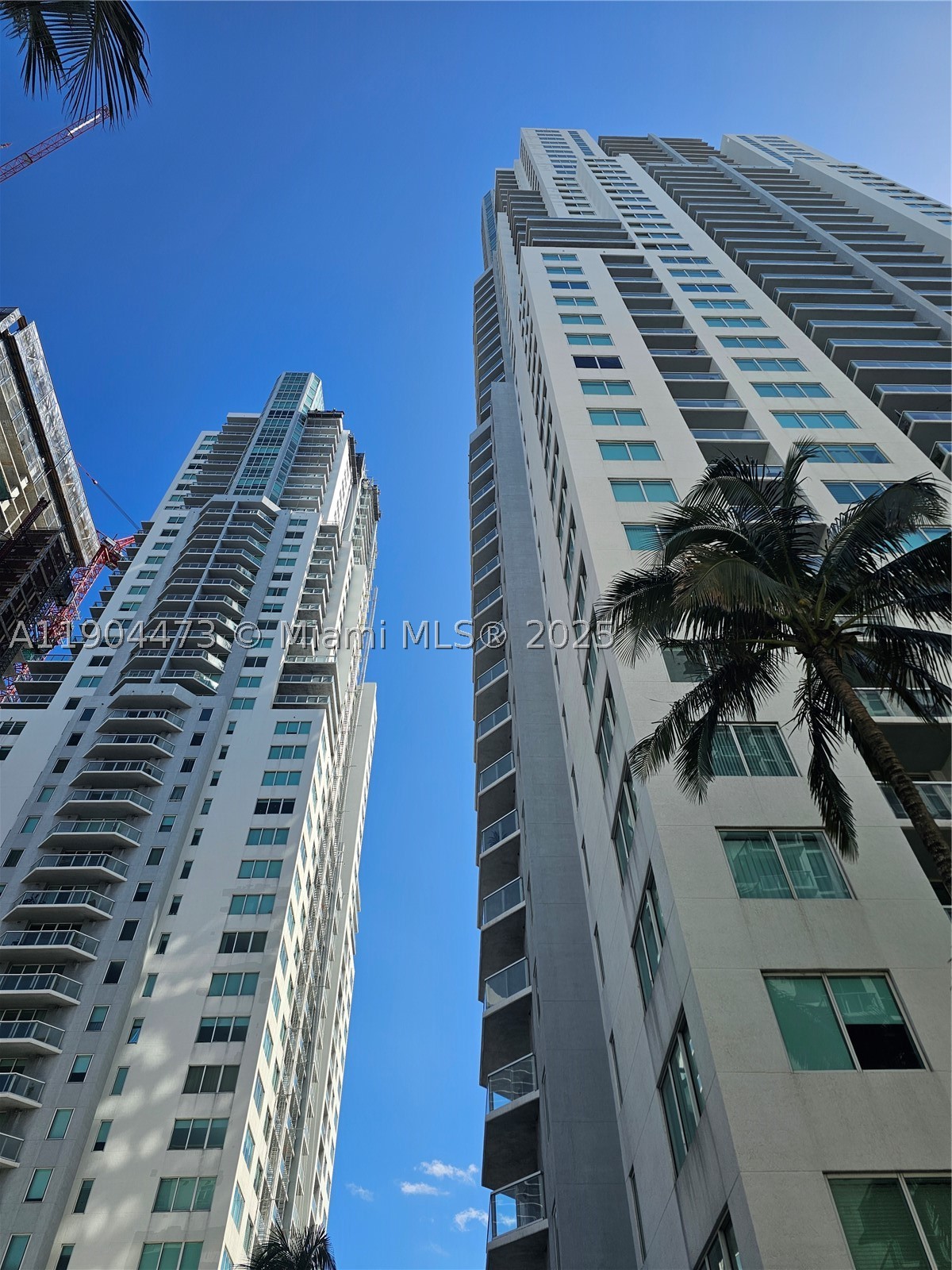 Miami photo 2