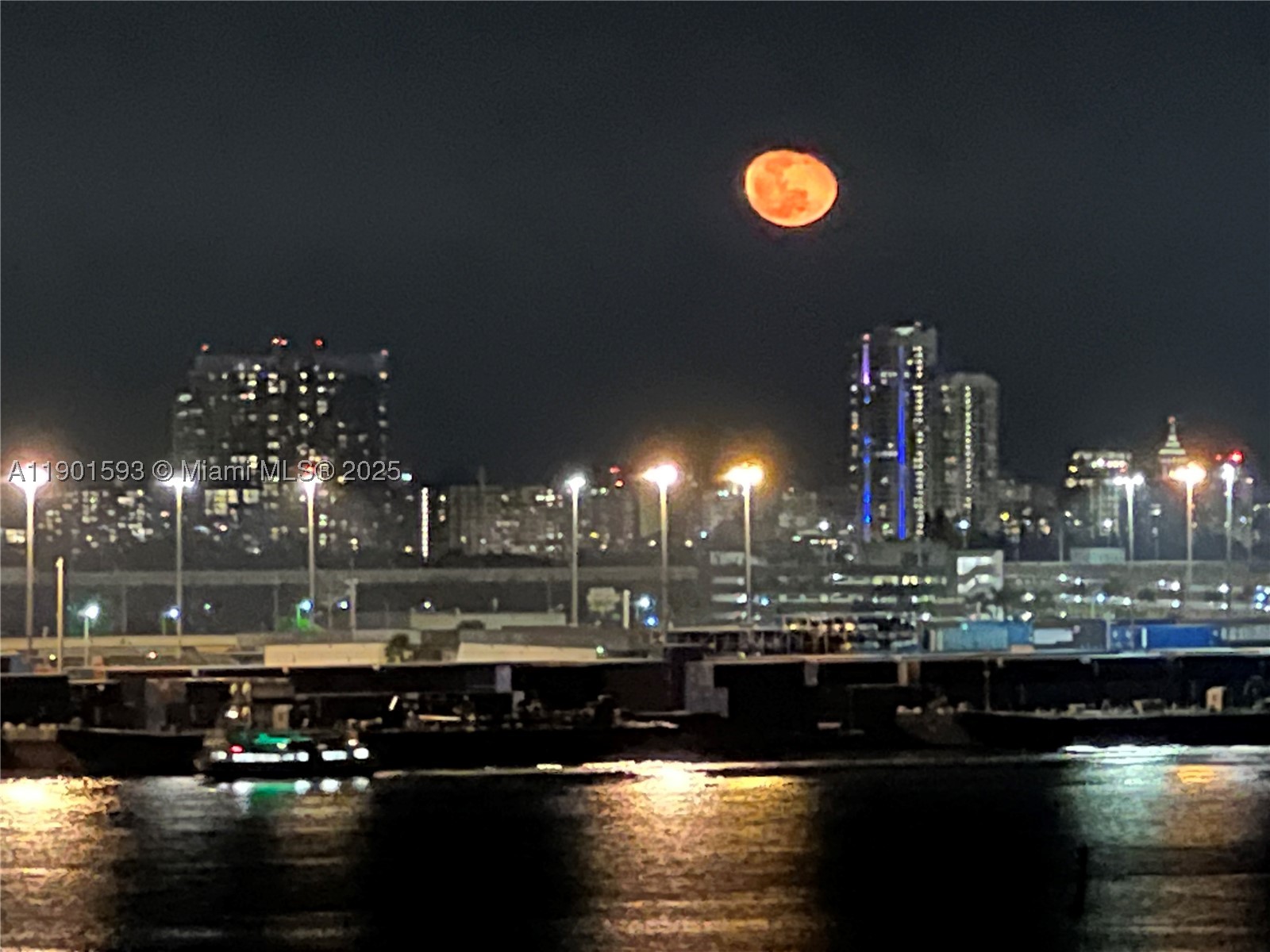 Miami photo 3
