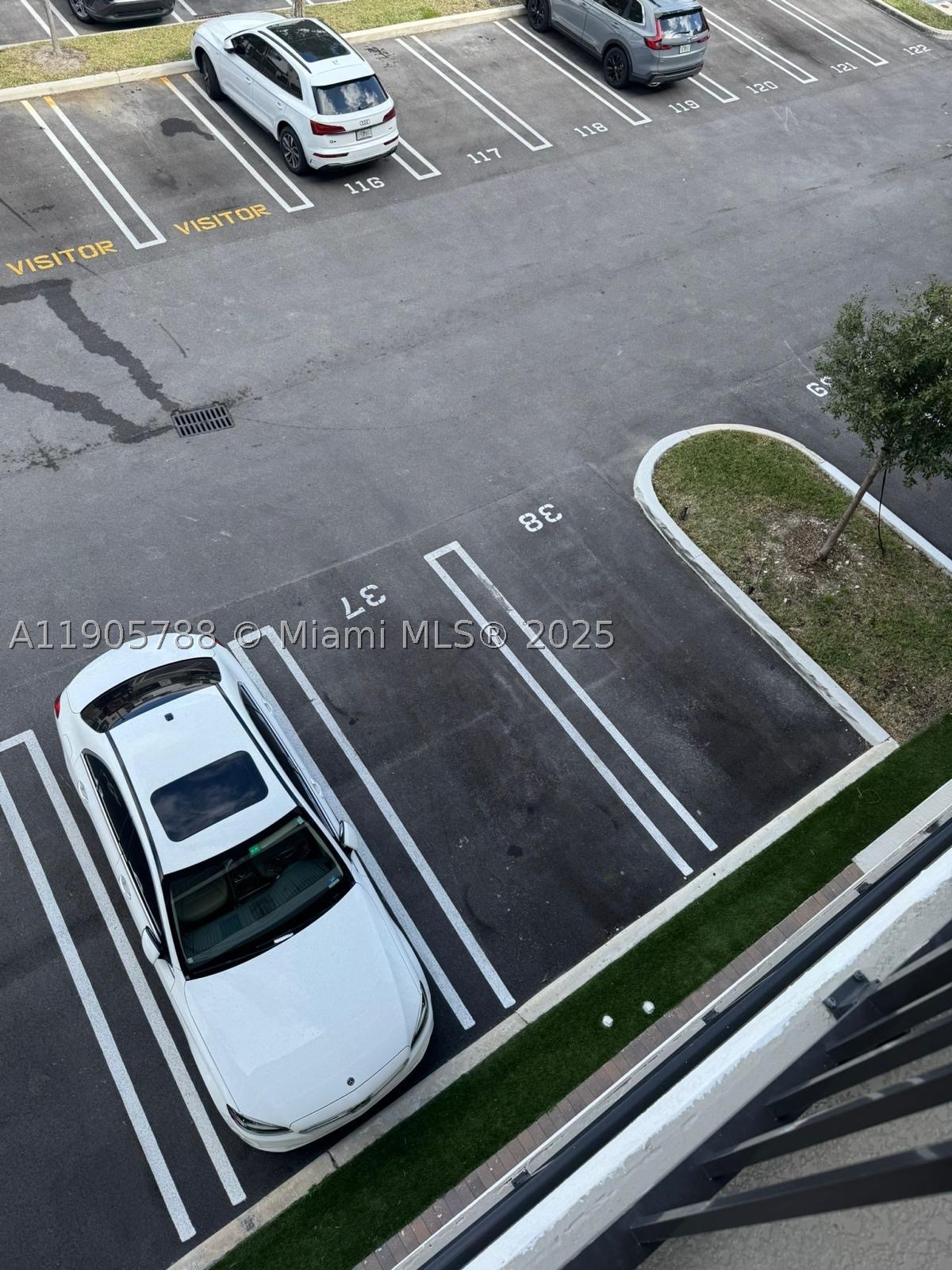 Doral photo 1