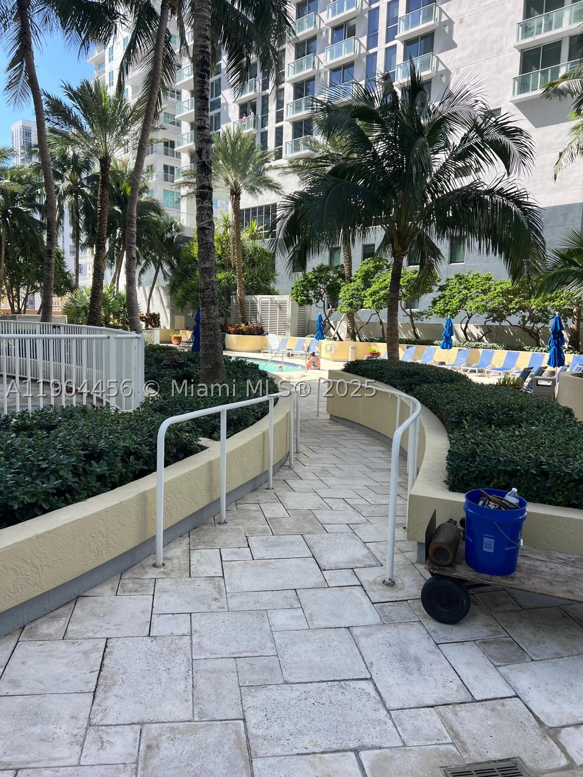 Miami photo 4