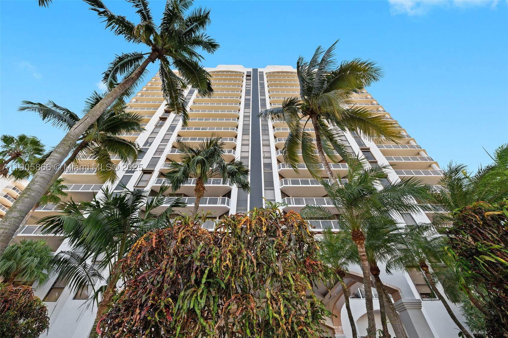 Aventura photo 3