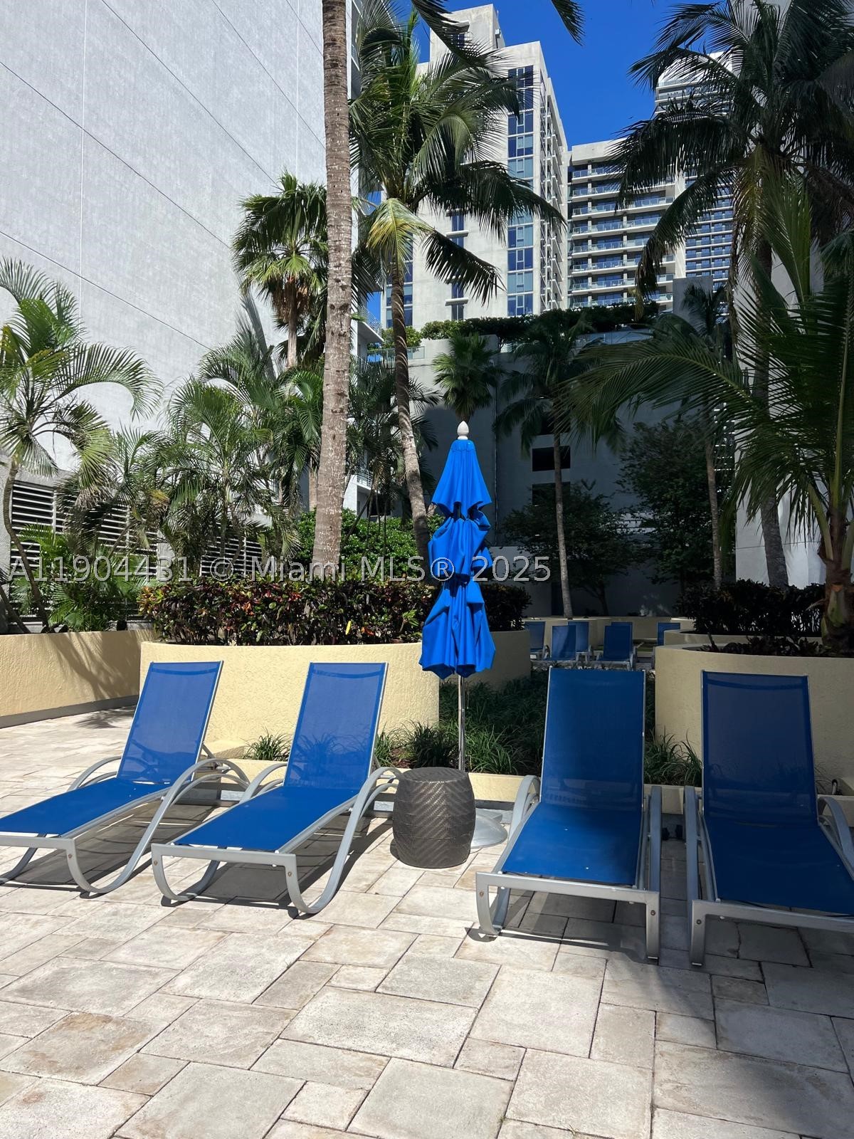 Miami photo 3
