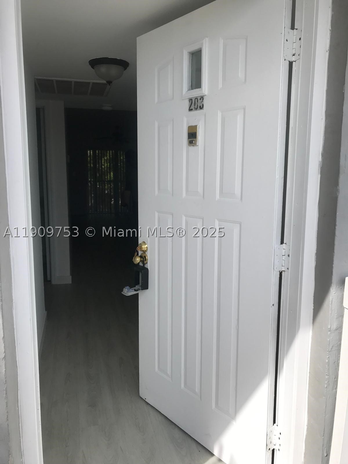 Miami photo 1