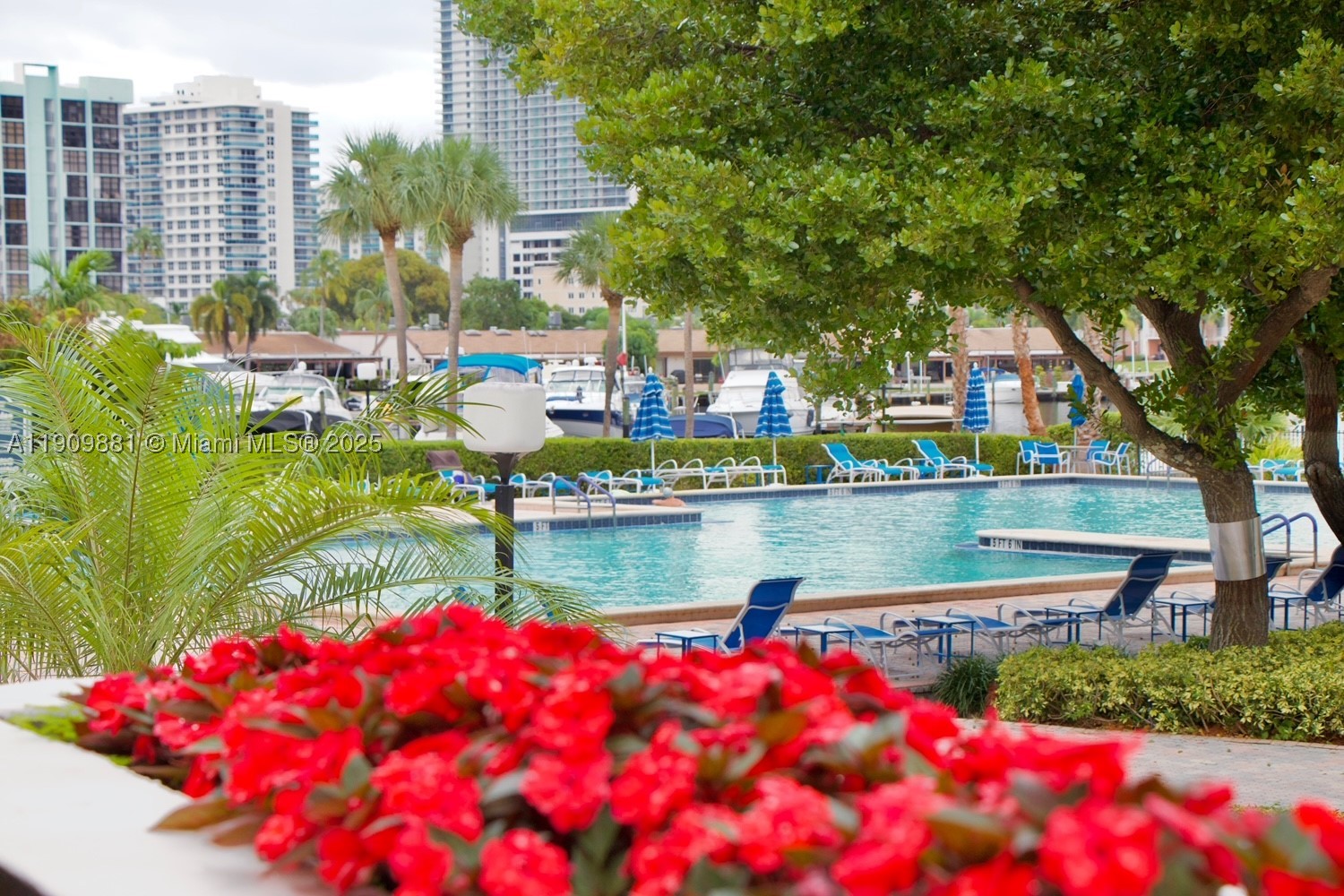 Hallandale Beach photo 2