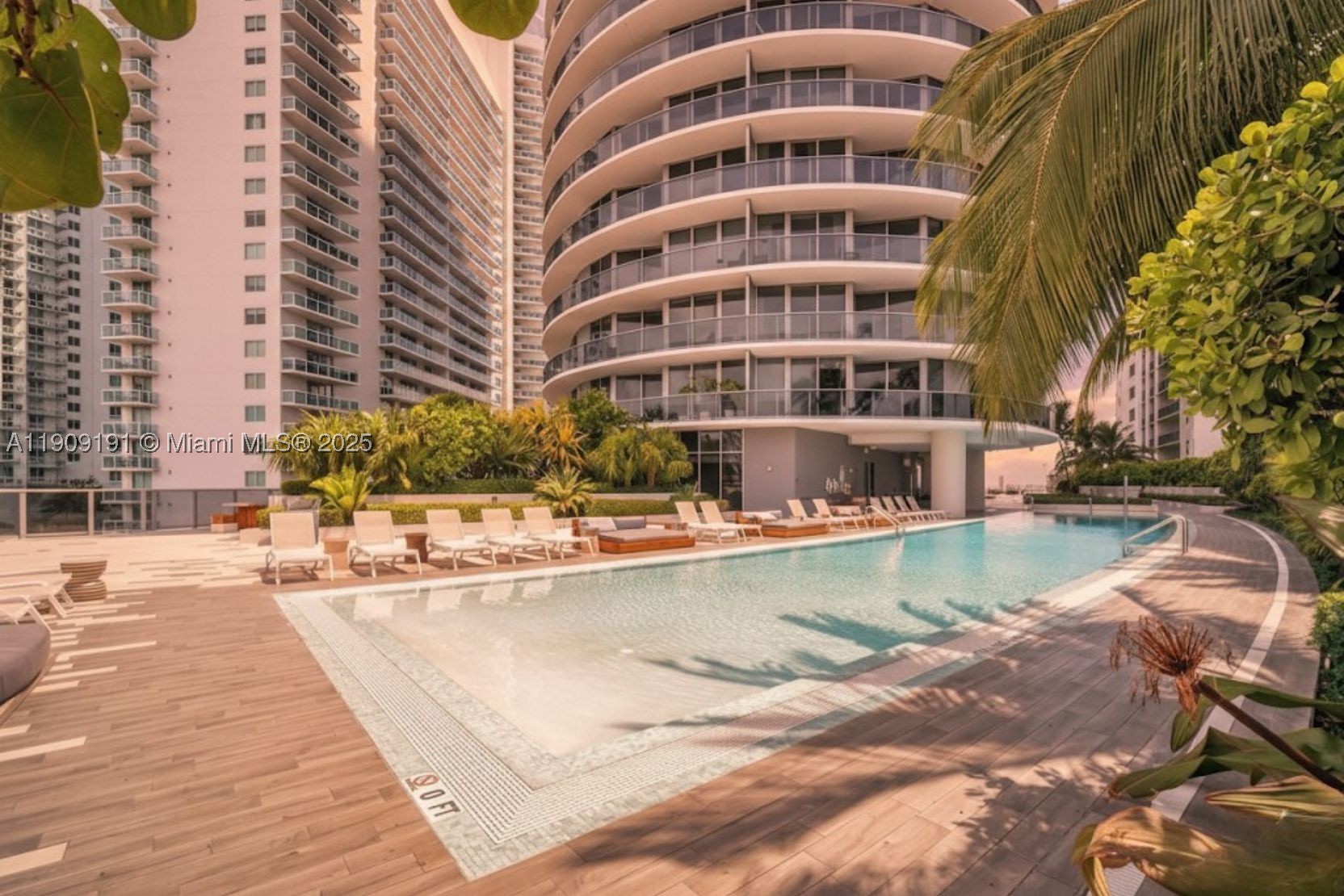 Miami photo 3