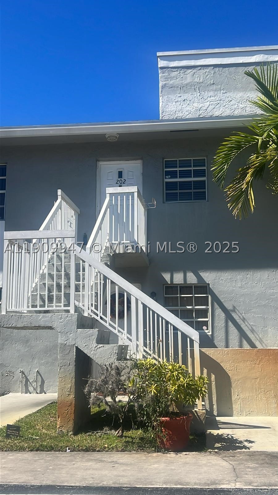 Miami photo 1