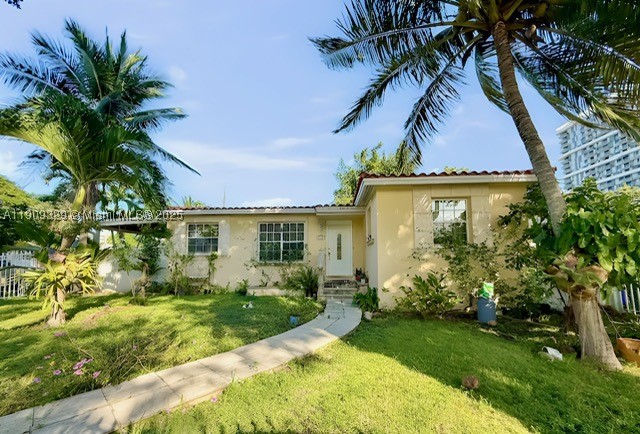 Miami photo 2