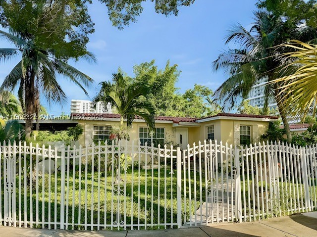 Miami photo 3