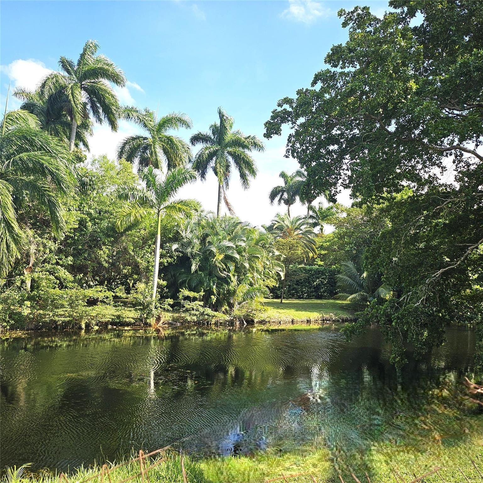 Plantation photo 2