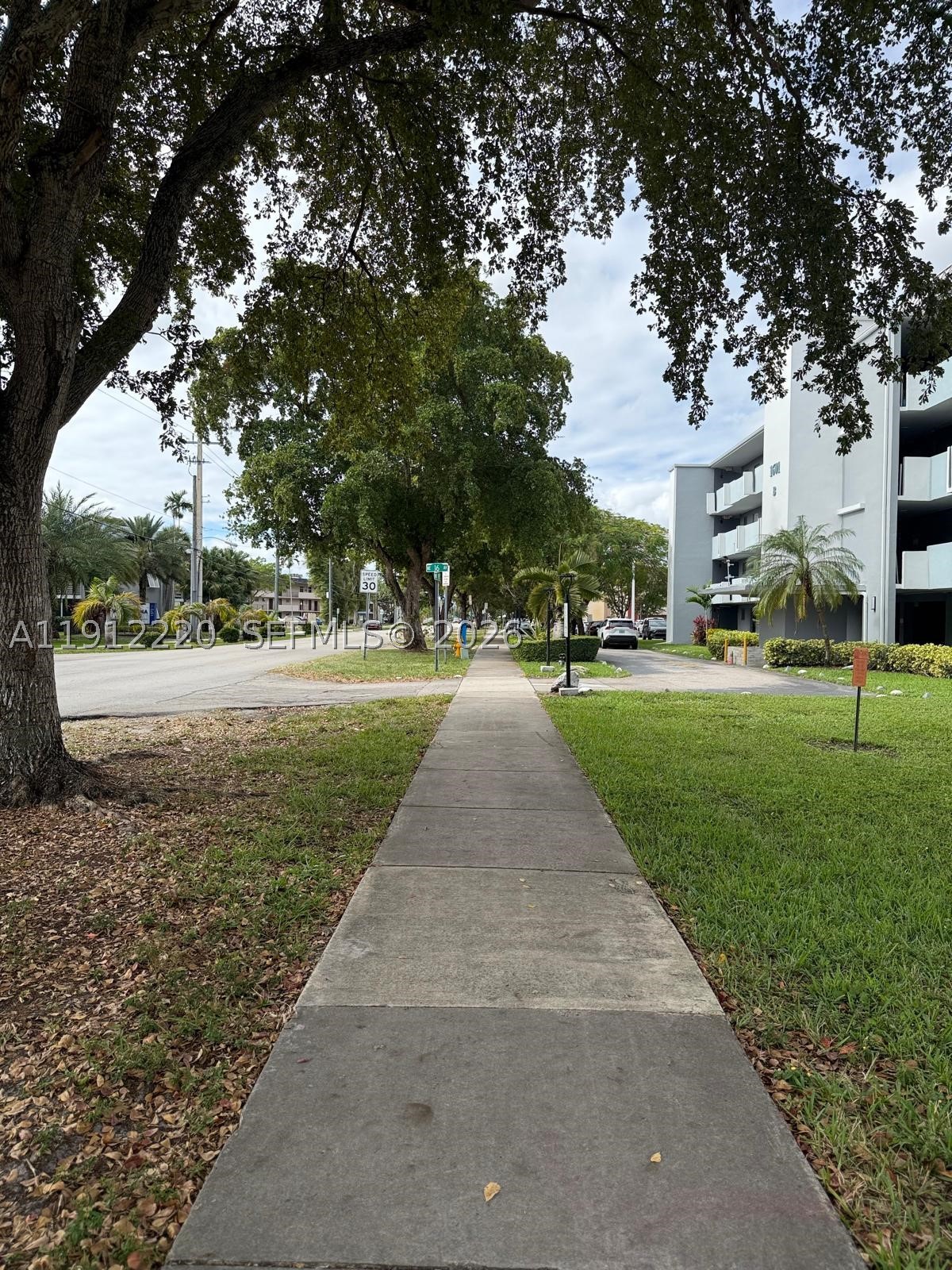 Miami photo 1