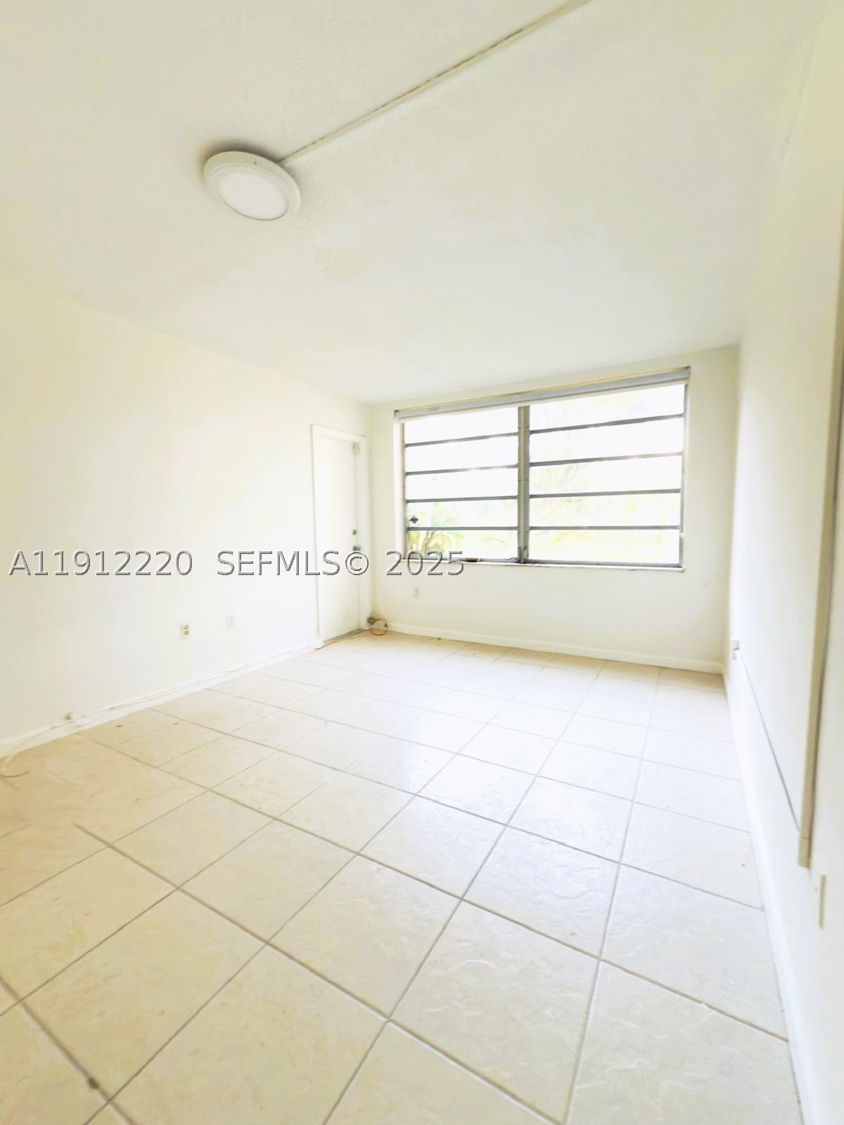 Miami photo 3