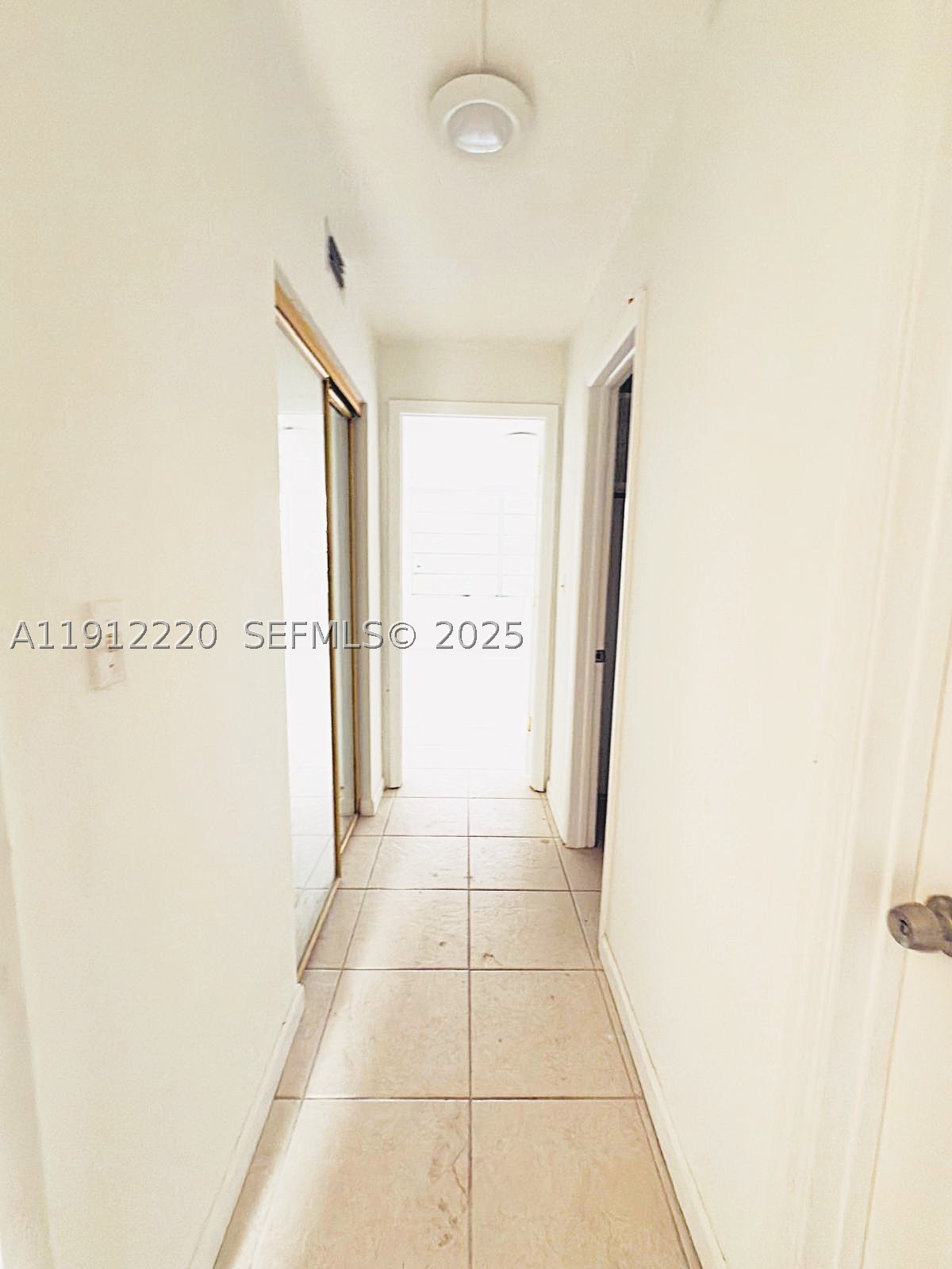 Miami photo 4