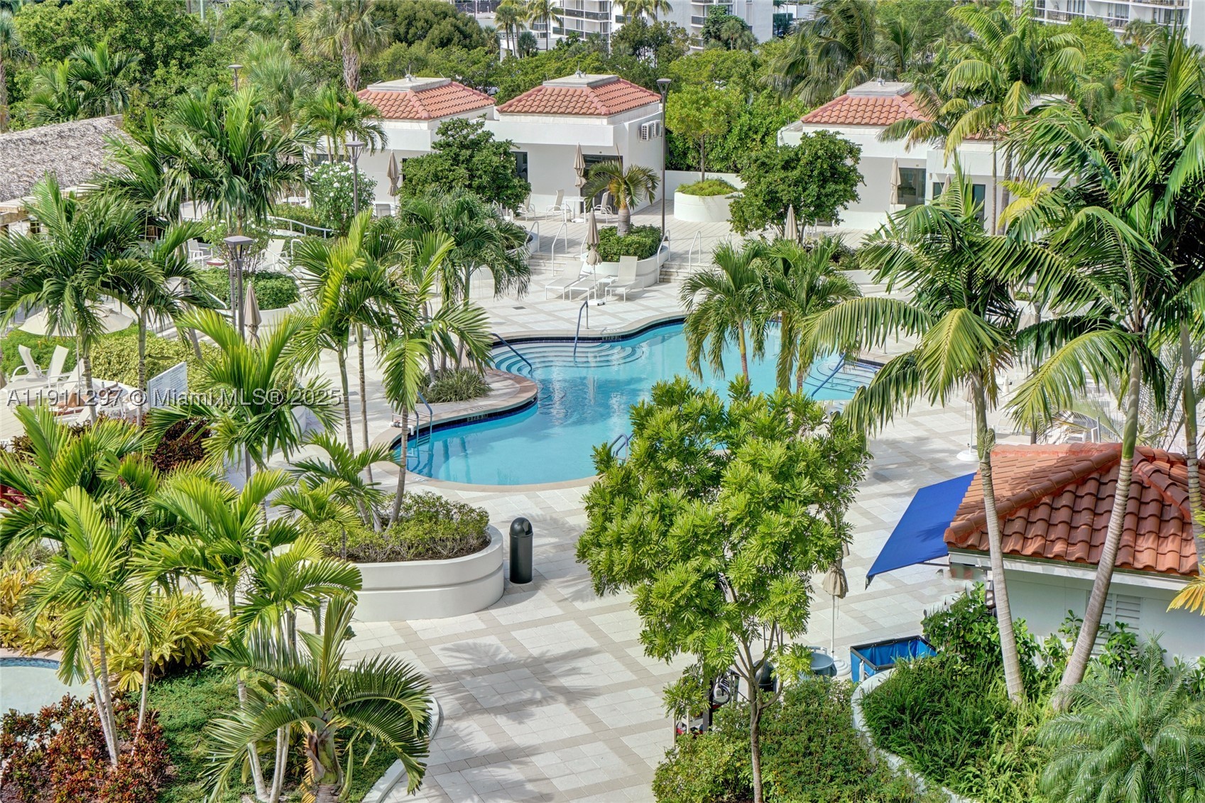 Aventura photo 1