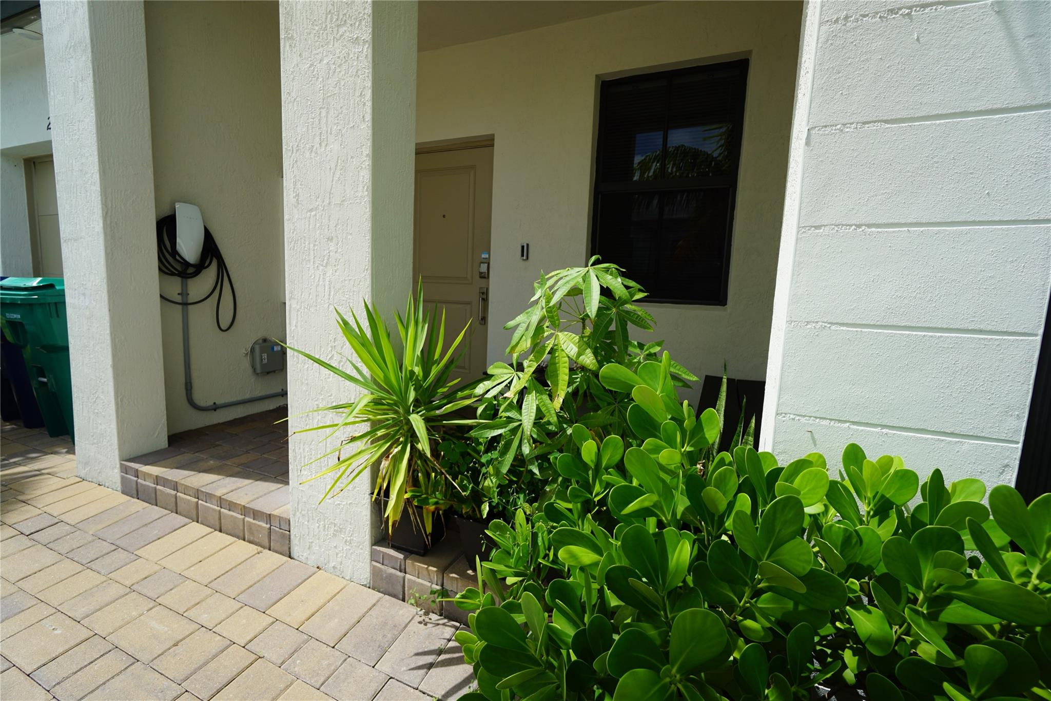 Miami photo 4