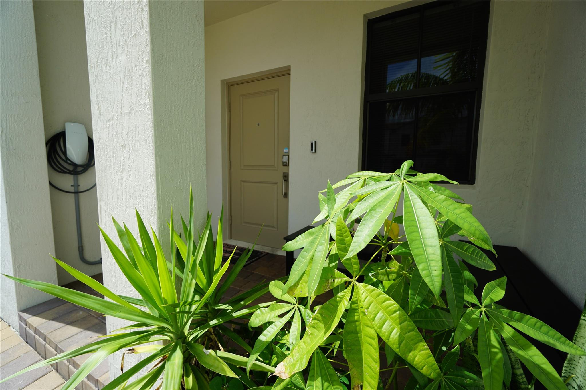 Miami photo 5