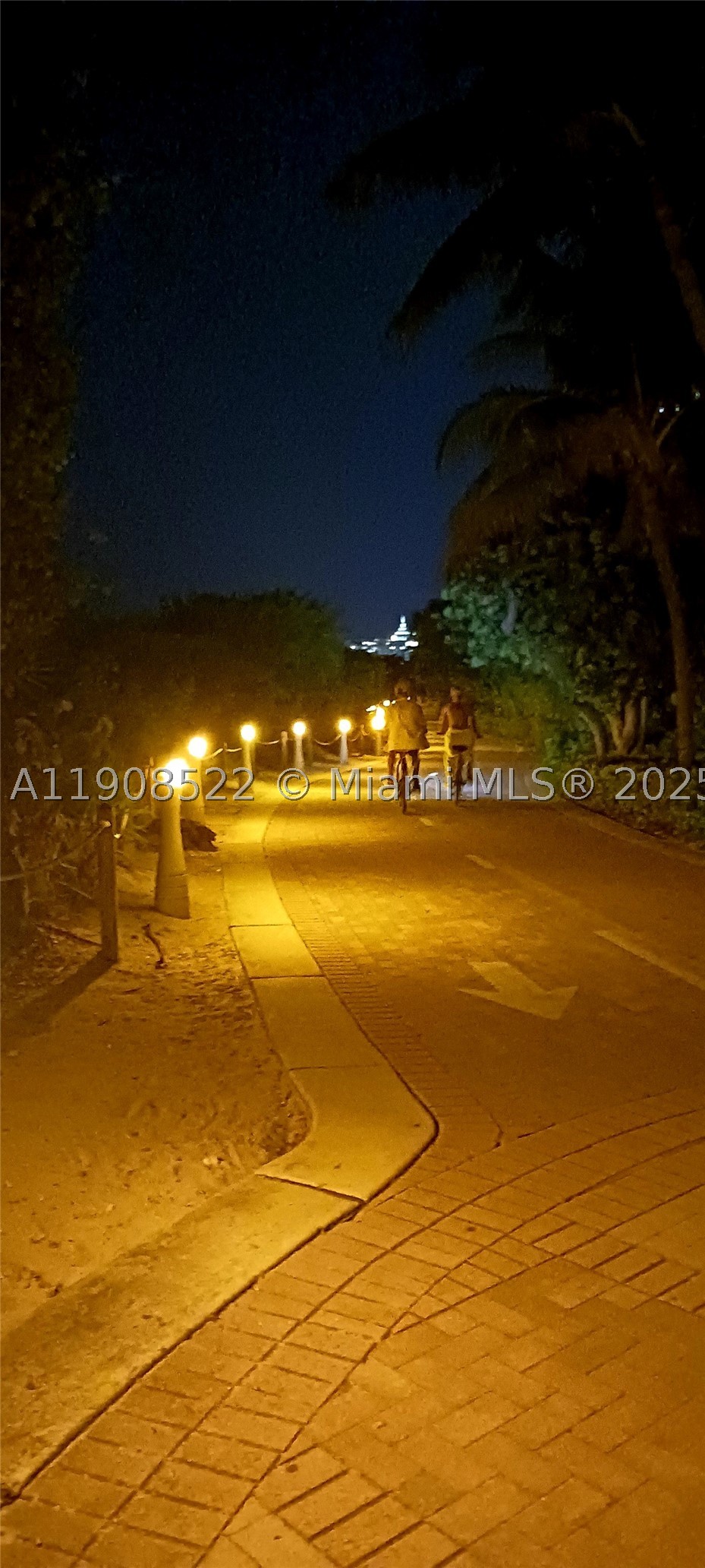 Miami Beach photo 3